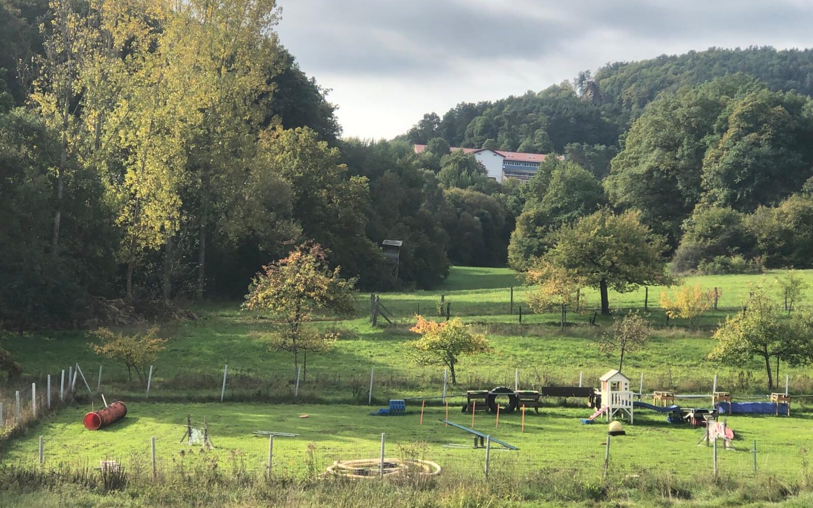 WhatsApp Bild 2025-09-11 um 11.26.48_64c3ec3b