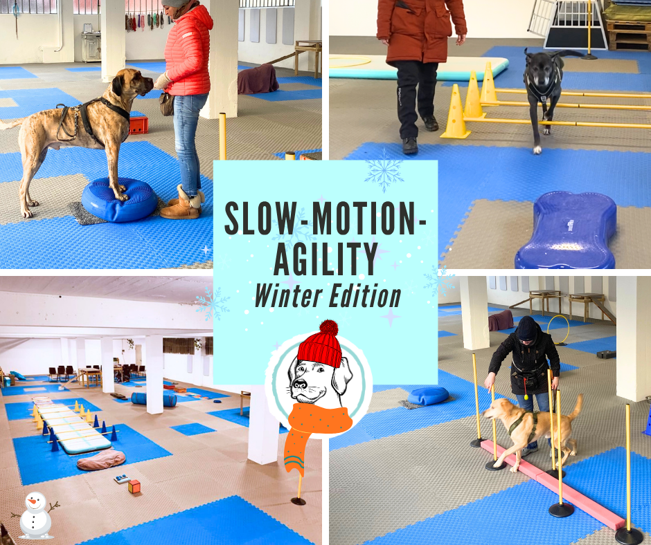 Slow-Motion-Agility Winter Edition